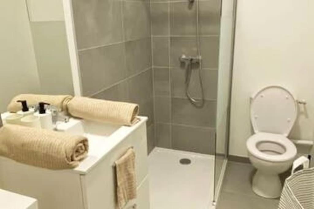 Appartement Coup De Coeur En Centre-Ville ออร์เลออง ภายนอก รูปภาพ