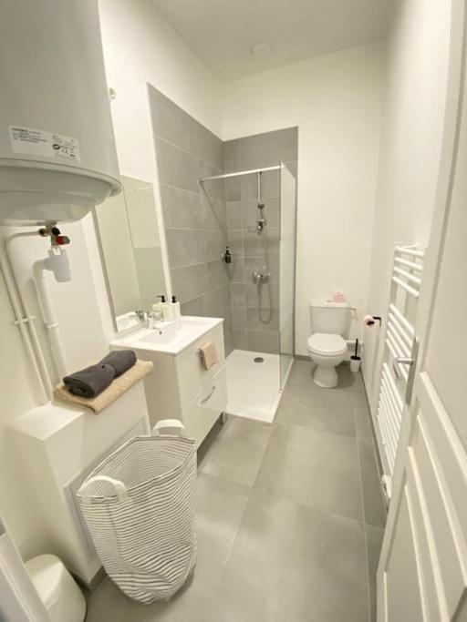 Appartement Coup De Coeur En Centre-Ville ออร์เลออง ภายนอก รูปภาพ